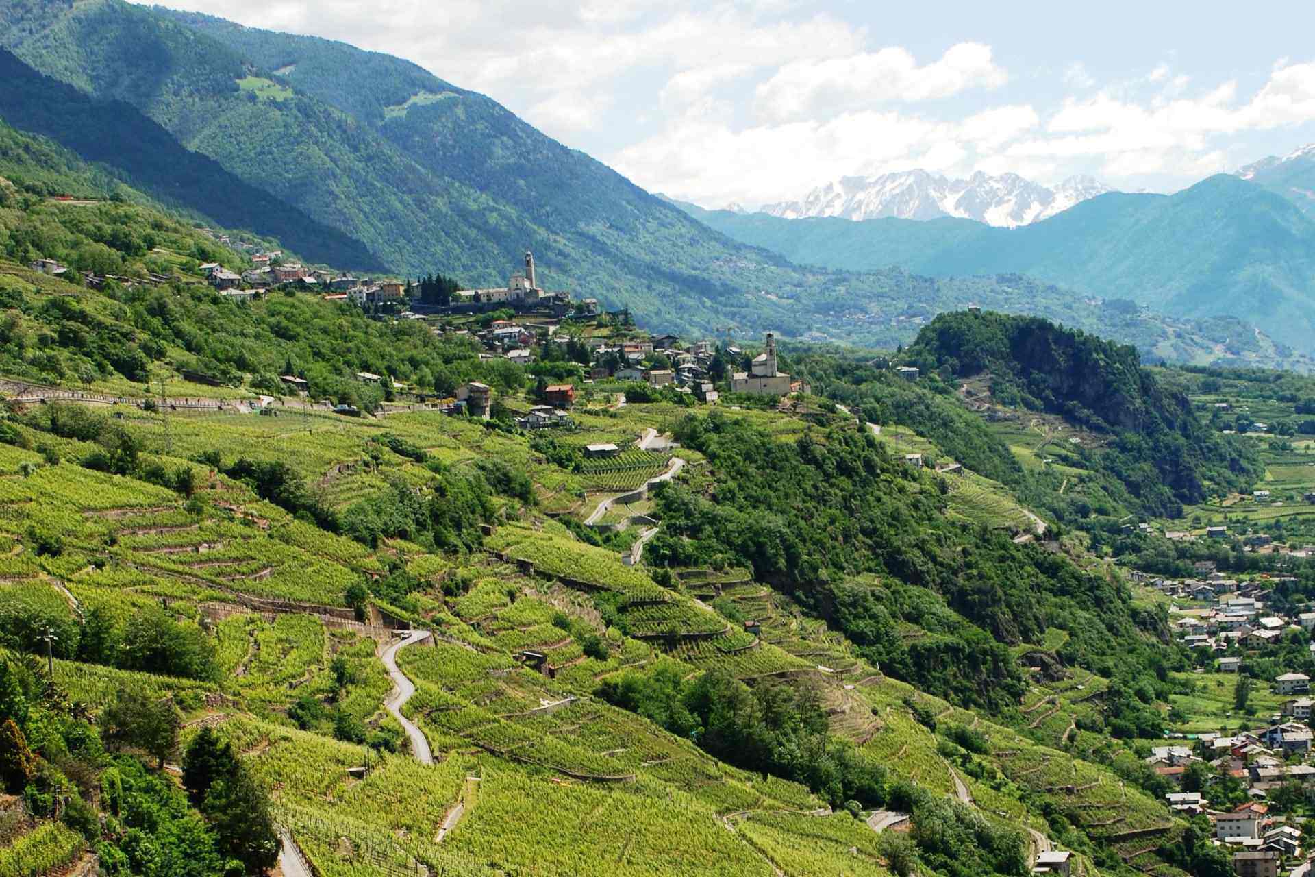 Gruppo d'acquisto Insema in Valtellina